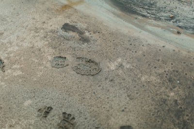 LLM Fingerprinting a través de marcas de agua condicionadas