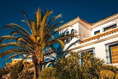 Top 10 Expertos en AGENCIA de IA en Marbella