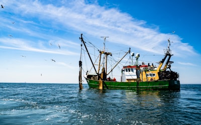 Inteligencia artificial contra la pesca ilegal y el fraude alimentario