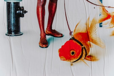 IA depura código mientras humanos chatean como peces de colores