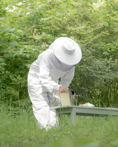 Trustworthy Pest Management Specialists in Lewisham