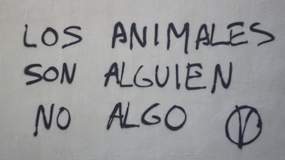 Los modelos de lenguaje grandes imitan el razonamiento humano