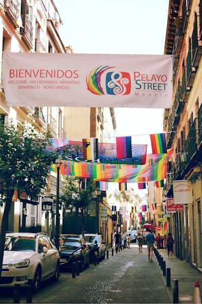 Empresa especializada en desarrollo de plataforma de banderas en Granada