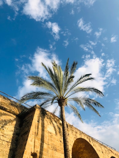 Automatización de informes de cumplimiento en Palma