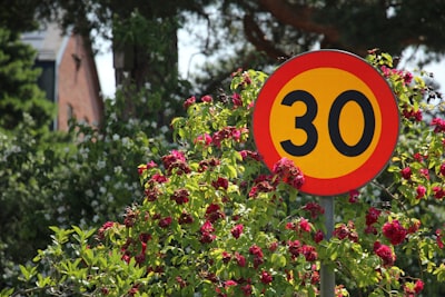 Top 50 Empresas para Bots en Jerez de la Frontera