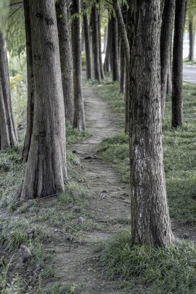 Lecciones sobre rutas ocultas