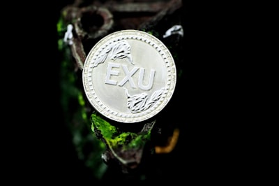 Acuñando E-USD a través de E-CDP extendido: guía técnica