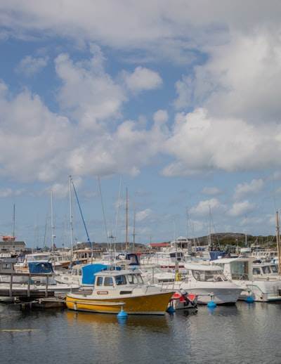 Encuentra servicios de software empresarial en Puerto de la Cruz