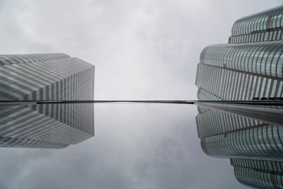 La importancia de la claridad en la división de IA en las empresas