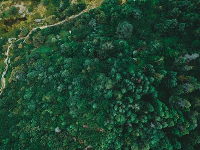 ¿Se puede personalizar el servicio de evaluación de modernización de legado para satisfacer mis necesidades específicas de negocio?