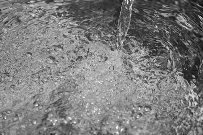 FLUID: Unified Flow-Based Inference for Dynamics