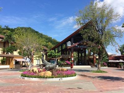 Servicios de consultoría de software en San Vicente del Raspeig