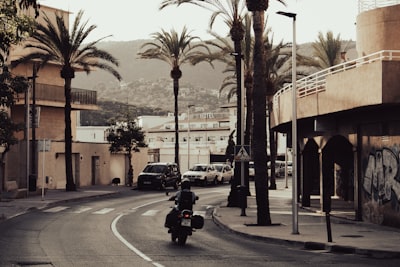 Servicio de bots de Instagram en Palma