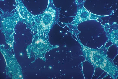 Patrones de la biología aplicados a sistemas multiagente