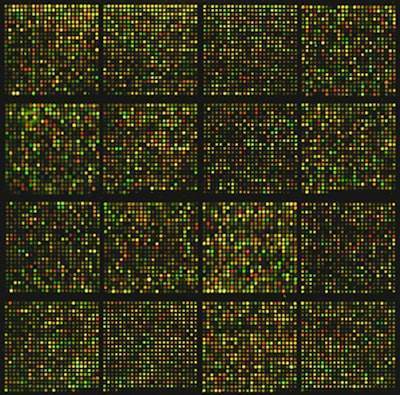 Predicting Biological Marker with Multivariate Autoencoder-Guided Analysis in CRISPR Selection Experiment