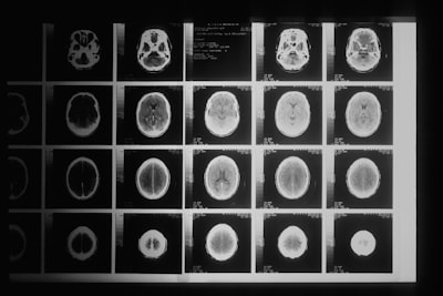 Learning Cognitive Maps from Image Sequences