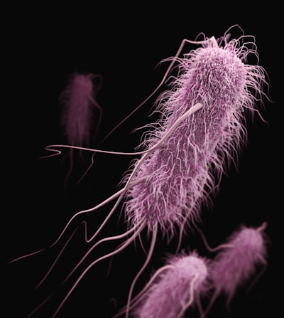SAM-Sode: Explicaciones fieles para detectar bacterias diminutas