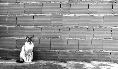 La infraestructura oculta al lanzar un chat de IA