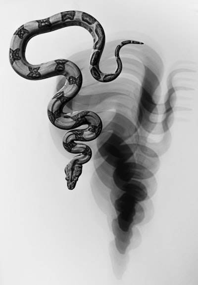 Del Python a IA Generativa