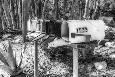 Bots de Telegram en Lardero