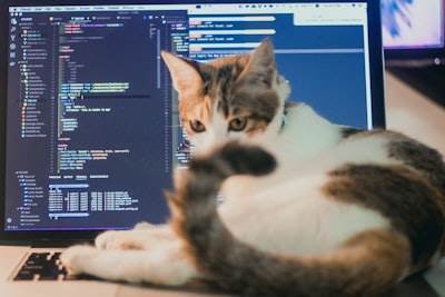 Costo de externalizar programación para soluciones en la nube