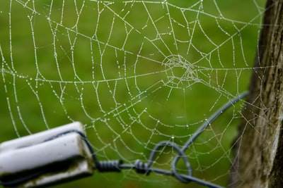 ¿Medidas para garantizar la fiabilidad de una aplicación web?