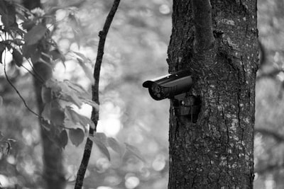 Detección de Fraude en Grafos: Adaptándose al Camuflaje Semántico