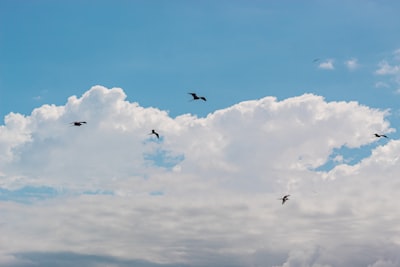 Servicios de migración a la nube en Las Palmas - Expertos en Azure