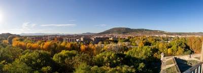 Socio oficial de desarrollo de IA en Pamplona
