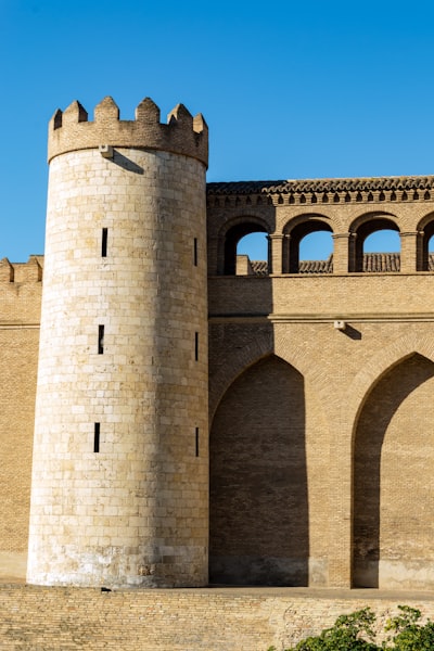 Top 20 Expertos en respaldo automatizado en Zaragoza
