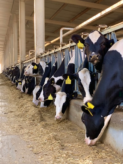 Ransomware interrumpe operaciones de Fairlife en EE.UU.