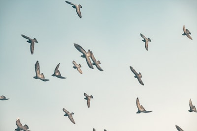 Guía práctica para migraciones de base de datos con NestJS (TypeORM)