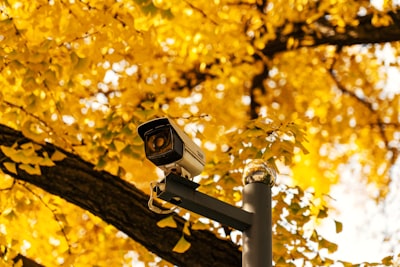 Cámaras de Seguridad para Exteriores: Batería, LTE, Sin Suscripción