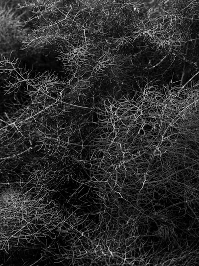 Estructura Latente Discreta en Redes Neuronales