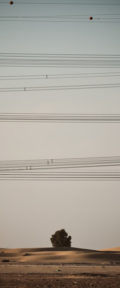 Notas de Claude codificando durante semanas