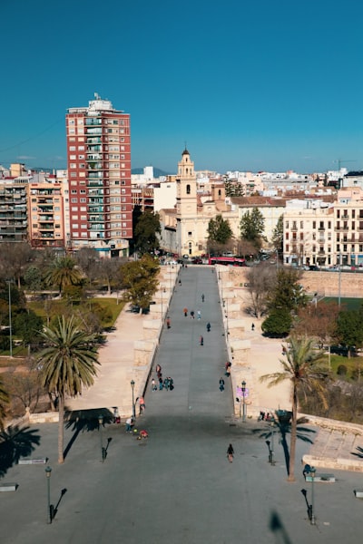 Principales Expertos en Encuestas Postventa en Valencia