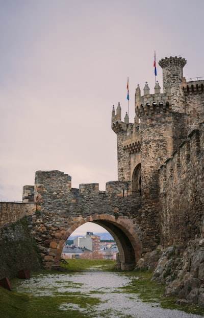 Expertos en bots de Instagram en Ponferrada