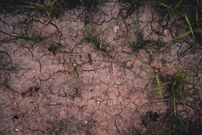 Mejora de la predicción de la humedad del suelo con sensores y calibración bayesiana