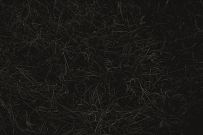 ¿Impacto de conceder acceso de root a un agente de IA?