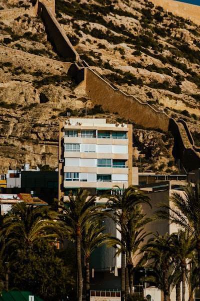 Agencia de Inteligencia Artificial en Las Palmas