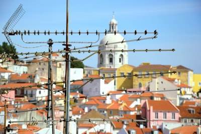 Mejores empresas de IA en Vitoria