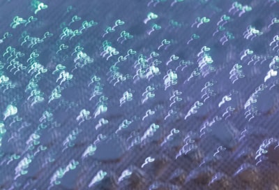 Expertos en desarrollo de software de análisis de voz con más de 15 años de experiencia