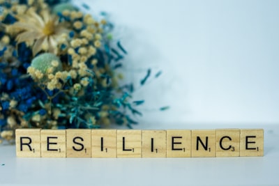 Marco de resiliencia para optimización combinatoria bi-criterio con retroalimentación de bandido