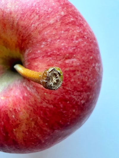 Todo sobre el iPhone (y iPad) plegable de Apple
