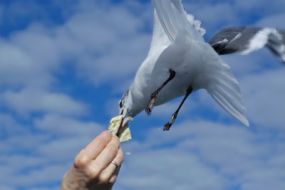 AVIAN recauda $2.6M para convertir el riesgo industrial en datos que las aseguradoras puedan suscribir