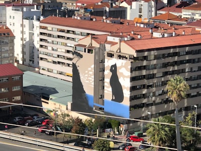 Consultores de aplicaciones en Vigo