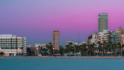 Mejores empresas de automatización de informes en tiempo real en Alicante