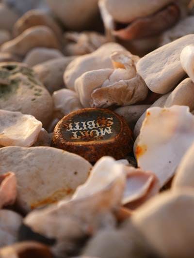 Resurgimiento del reloj inteligente Pebble con código abierto
