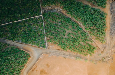 ¿Cómo el desarrollo sin especificaciones detalladas apoya los objetivos ambientales?