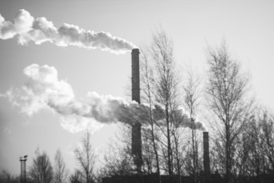 Automatiza la contaminación con tu primer modelo de IA